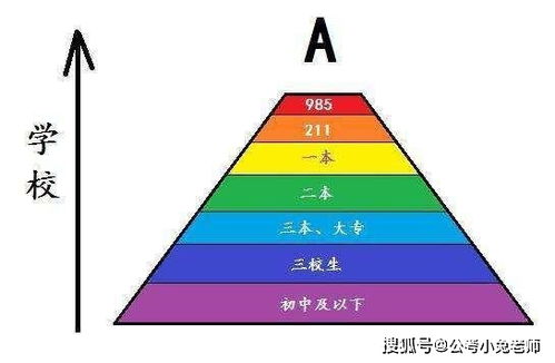 2020高考报志愿 大学前20榜单,很多学校你没想到