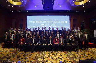 王丽博士出席中国新能源海外发展联盟创立大会 理事 中国与全球化智库