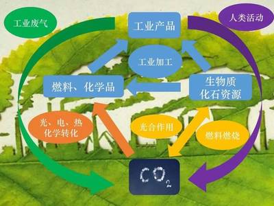 道法自然,变废为宝--《二氧化碳化学转化》