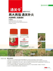 2020年 让稀缺产品资源走进千家万户