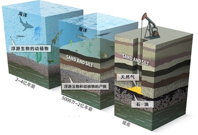 深海高压下的海底沉积物 压缩与生态的奇妙平衡