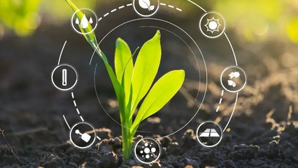 菜东家官网资源全解析 赋能农业产业链的数字新生态