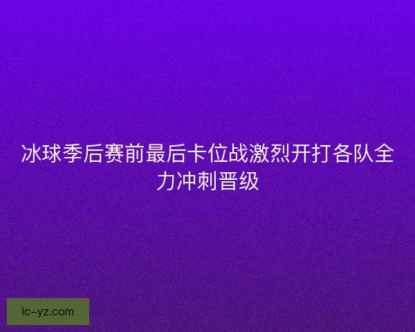 冰球季后赛前最后卡位战激烈开打各队全力冲刺晋级